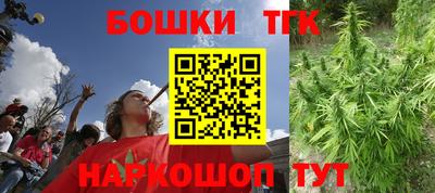 ECSTASY Гатчина