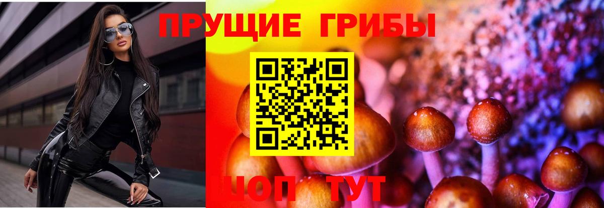 Киржач  Псилоцибиновые грибы прущие грибы  Вход с VPN 